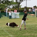 56th Mother Cup 03074.JPG
