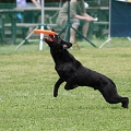 56th Mother Cup 08074.JPG