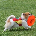 56th Mother Cup 03219.JPG