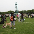 56th Mother Cup 06961.JPG