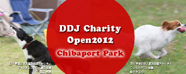 Charity2012Chiba.png