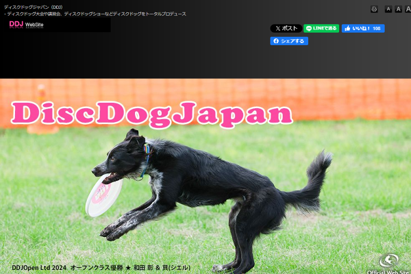 大会結果